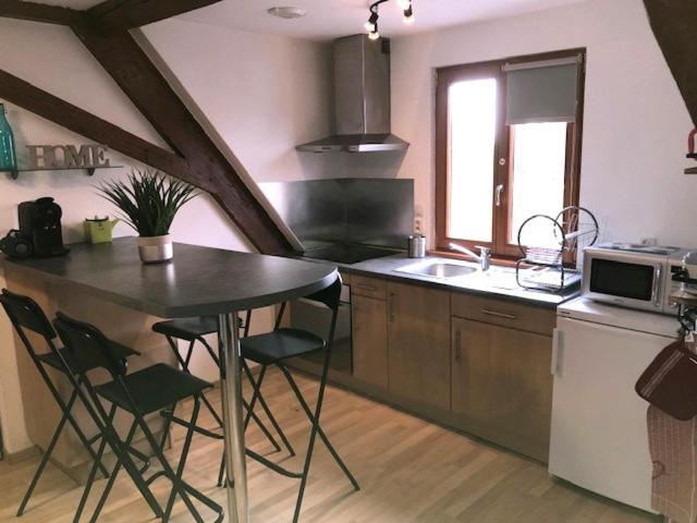 Duplex 4-6 Pers Parking Jardin Apartment Obernai